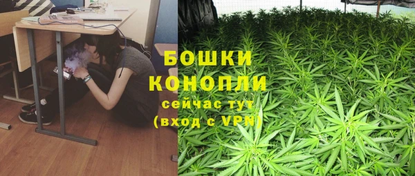 шишки Нефтекумск
