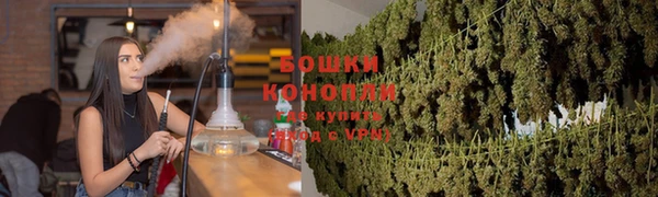 дмт Вяземский
