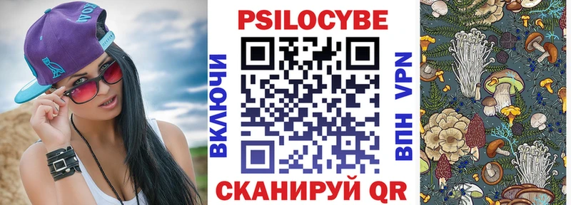 omg tor  Вязьма  Псилоцибиновые грибы прущие грибы 