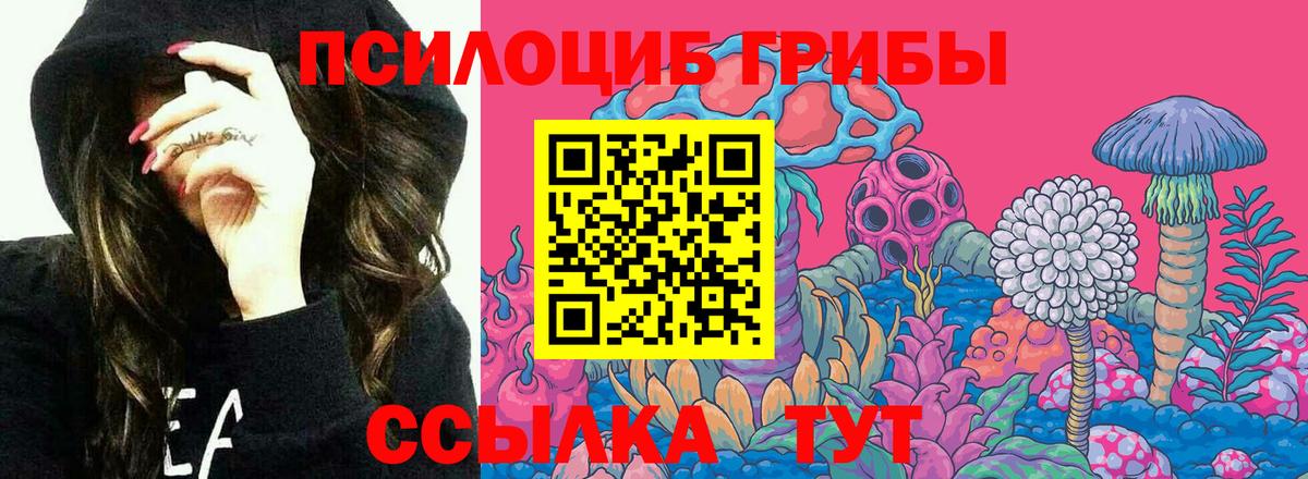 Как найти закладки?  Конопля  Вязьма  MDMA  Кокаин  Гашиш  Мяу-Мяу  Вход с VPN 
