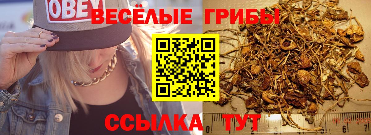 Галлюциногенные грибы ЛСД  Вязьма 