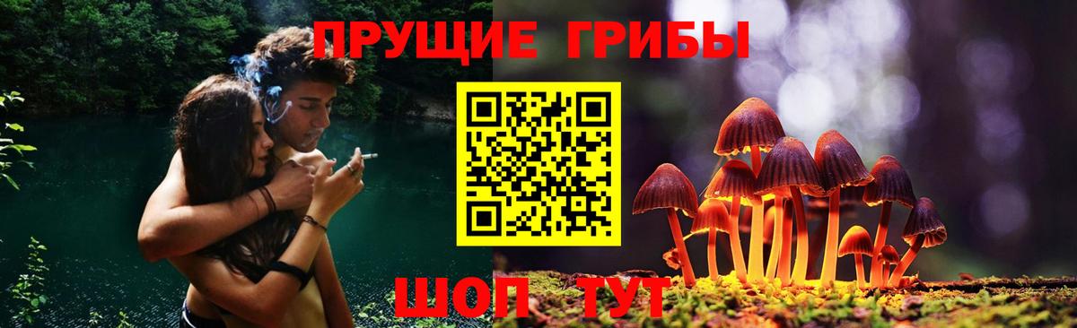 Галлюциногенные грибы GOLDEN TEACHER  Вход с VPN  Вязьма  Псилоцибиновые грибы ЛСД 